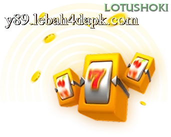 INTRO dan lotushoki: Rangkuman Brand yang Banyak Dicari